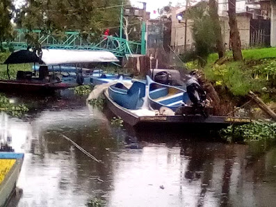 Jardín De Eventos La Casita Del Axolotl A.c.